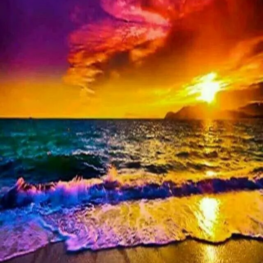 Meet your Posher, Nina